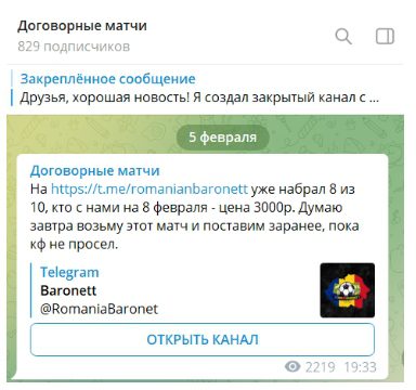 Проект Baronett