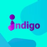 Indigo bot каппер - отзывы