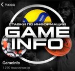 GameInfo