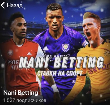 Каппер Nani Betting