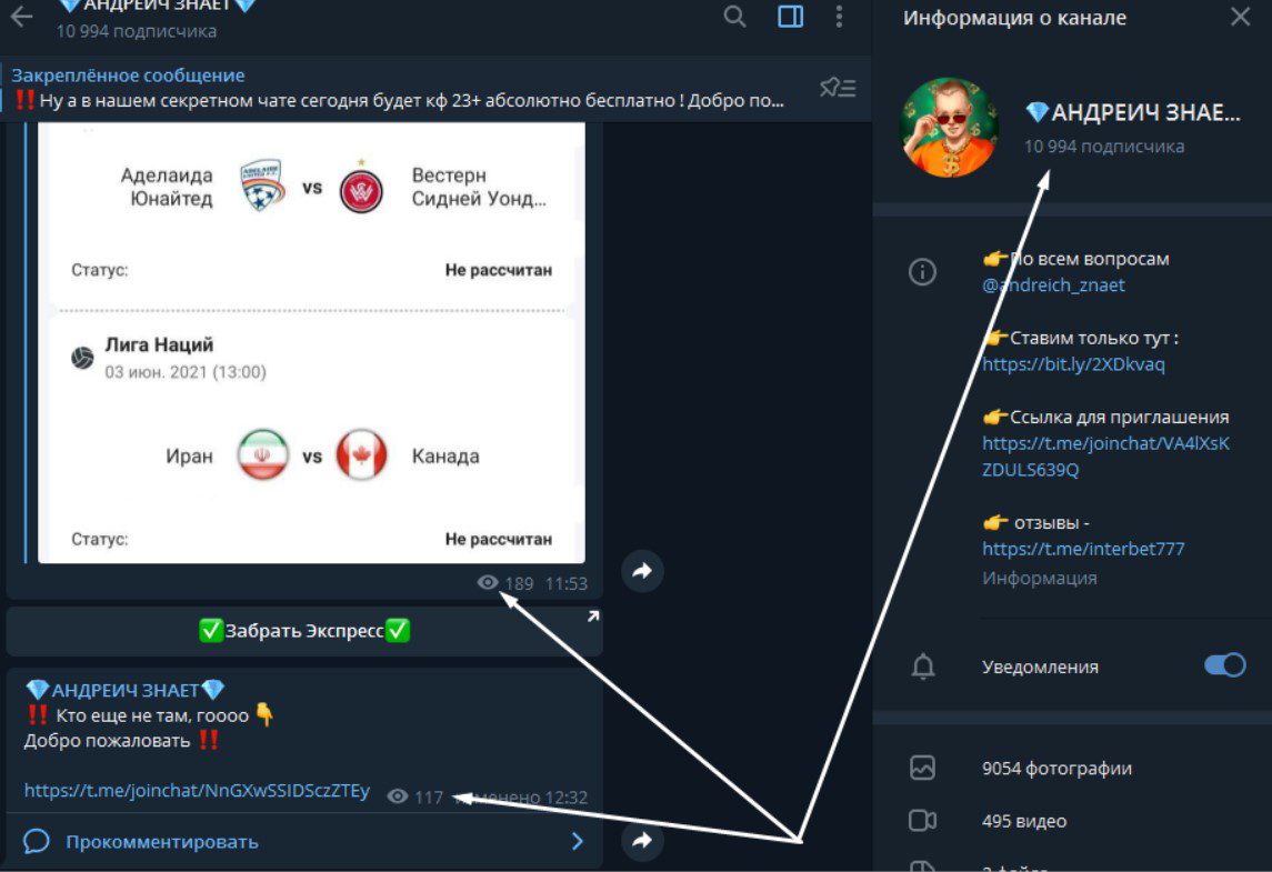 андреич знает телеграмм канал