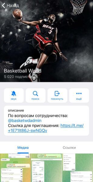 Basketball world телеграмм