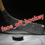 Face Off Hockey