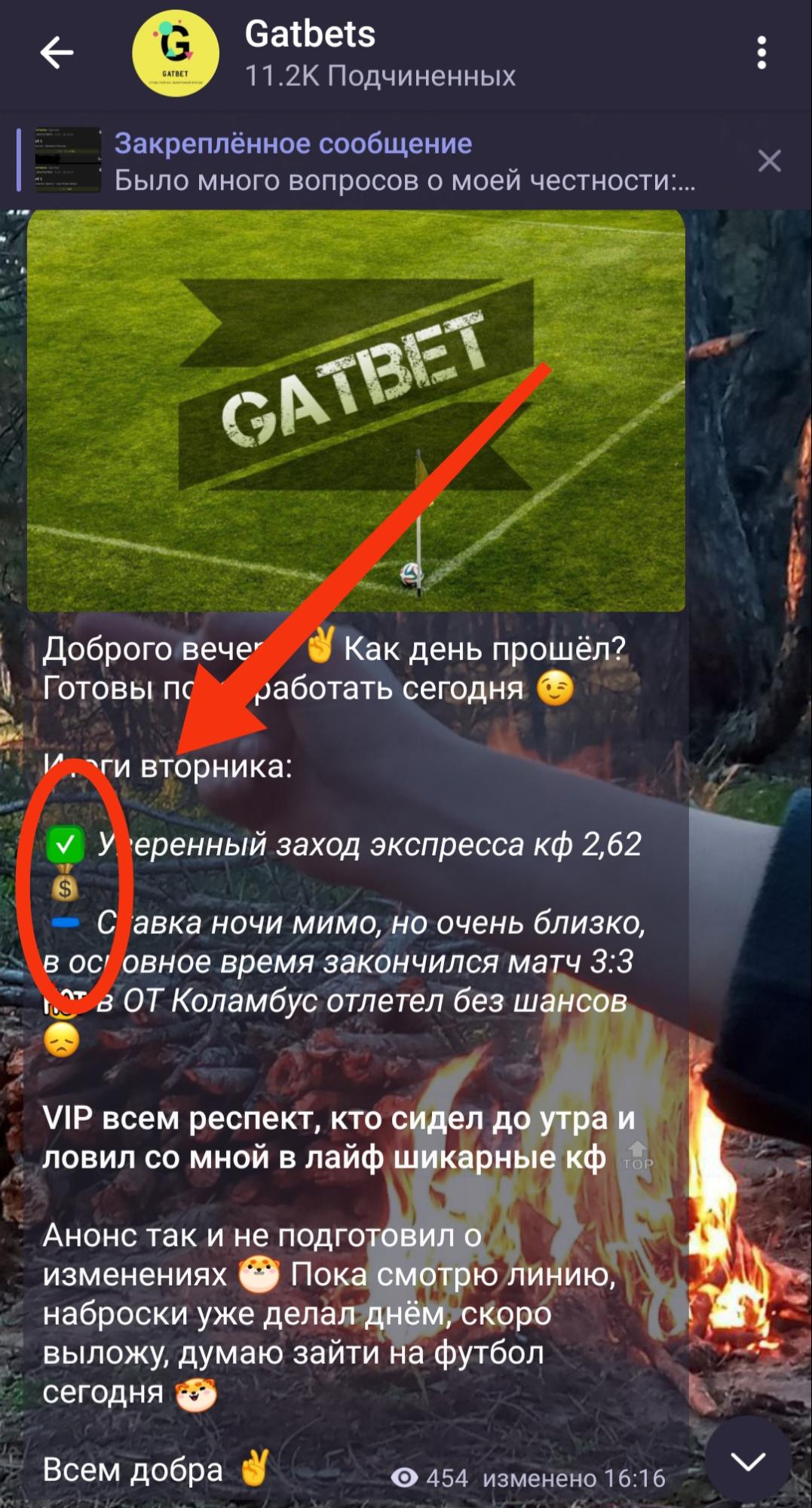 Gatbets телеграмм