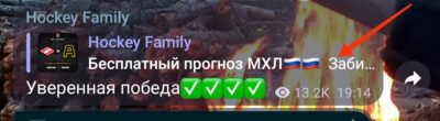 Hockey Family статистика