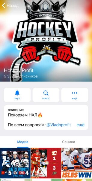 Hockey Profit телеграмм