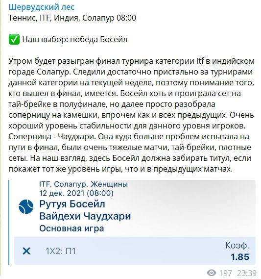 Шервудский лес Telegram канал - прогнозы