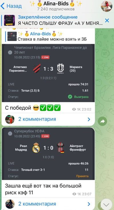 Статистика Alina Bids