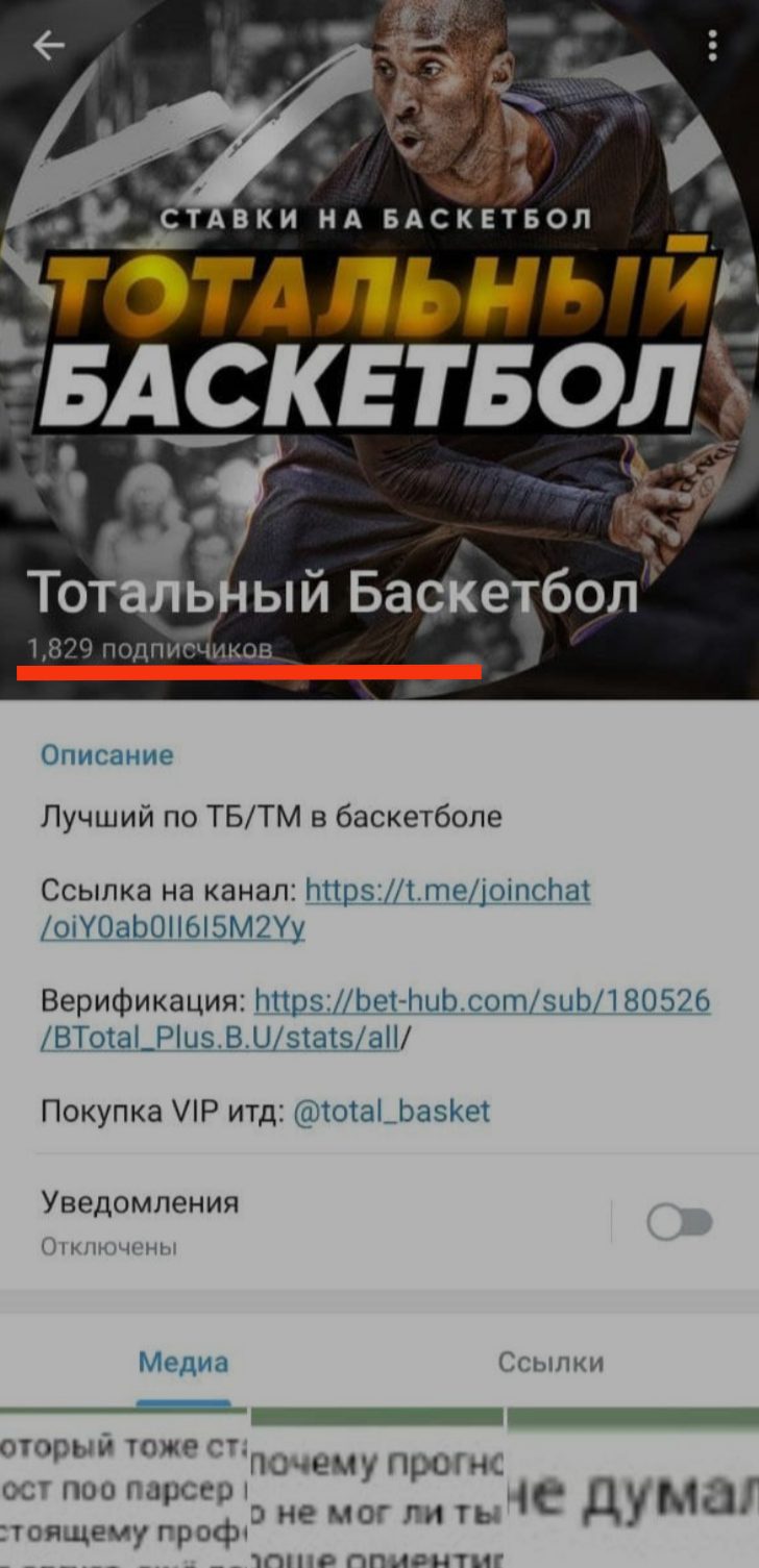 Телеграм канал Тотальный баскетбол