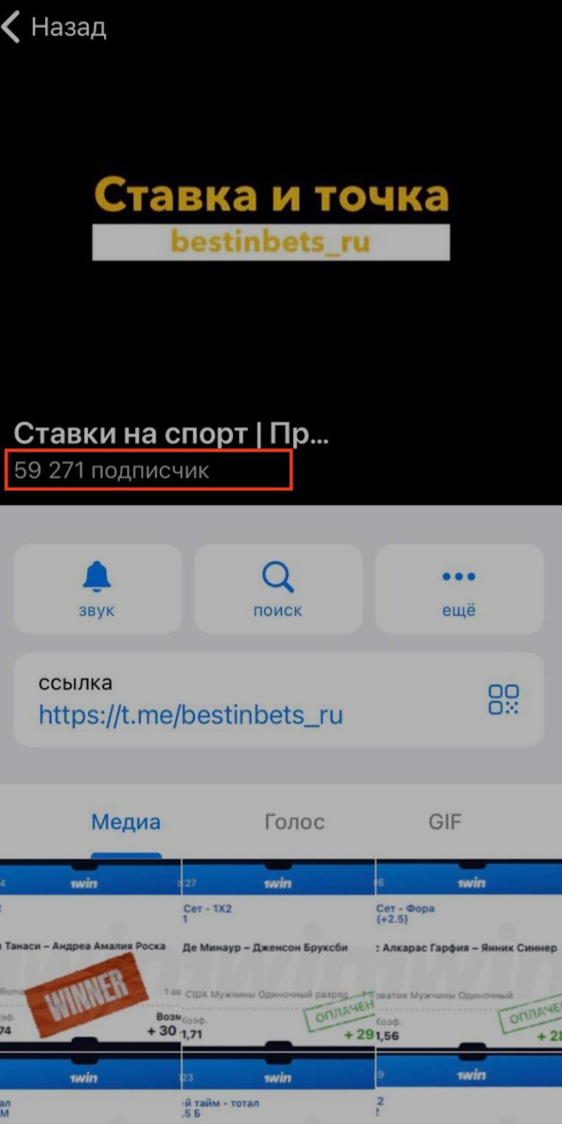 "Ставка и точка" в Телеграм