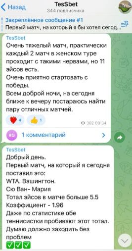 Статистика проходимости TesSbet в Telegram