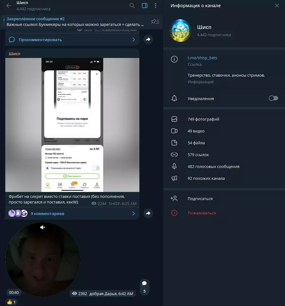 Shisp Dota телеграм