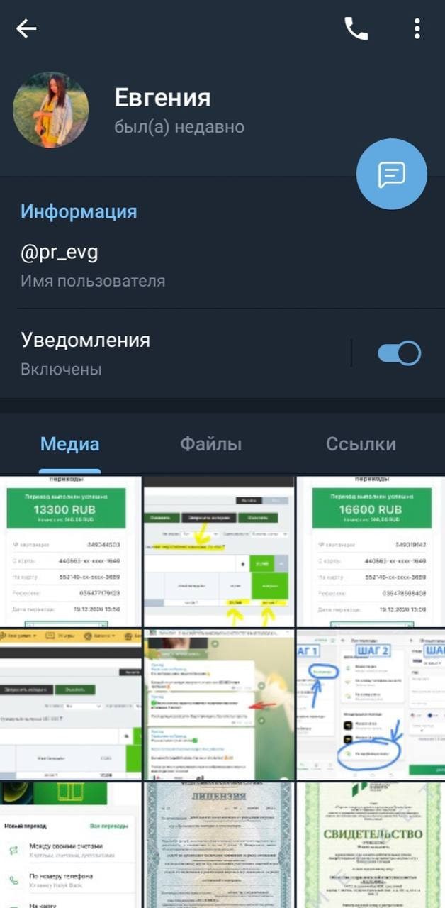 Телеграмм-канал о заработке Приход - страница Евгении