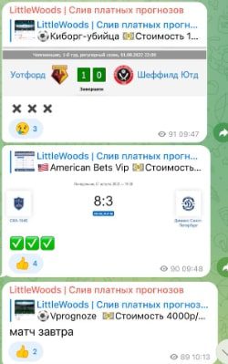 Статистика проходимости прогнозов на канале LittleWoods