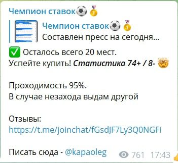Чемпион ставок - статистика