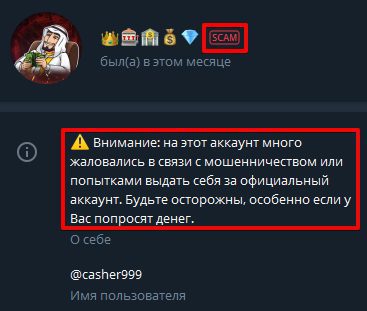 SCAM в Телеграмм Casher999