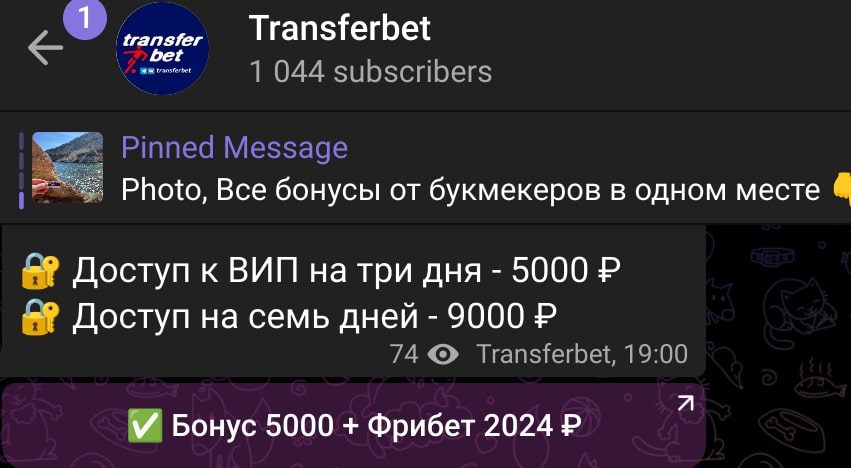 Transferbet телеграм пост