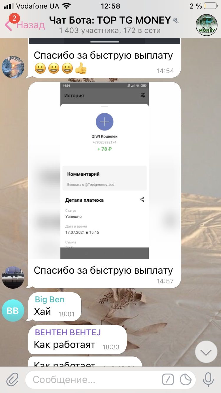 Toptgmoney Telegram bot - скриншоты выплат