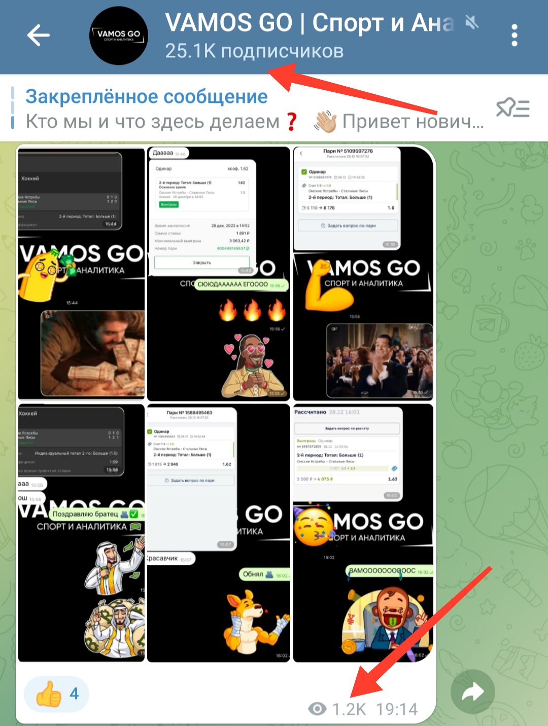 Проект Vamos Go