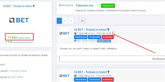 iq bet информация о канале