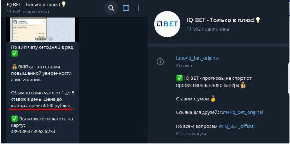 iq bet только в плюс