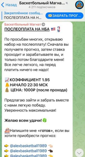 Проект Баскетбольный магнат