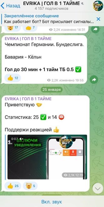 Проект EVRIKA BOT