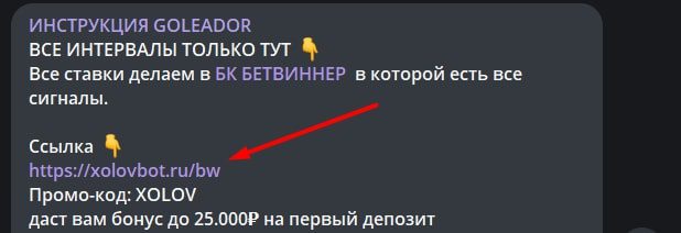 Проект GOLEADOR BOT