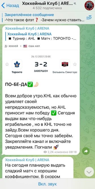 Проект Хоккейный клуб ARENA