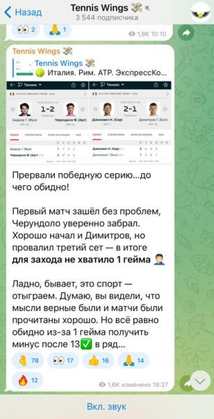 Проект Tennis Wings