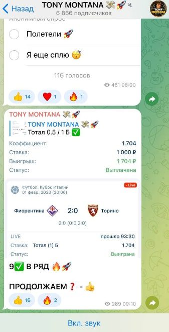 Проект TONY MONTANA