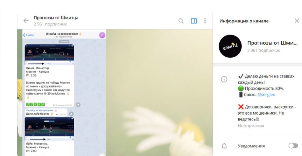 Прогнозы от Шмитца информация о канале