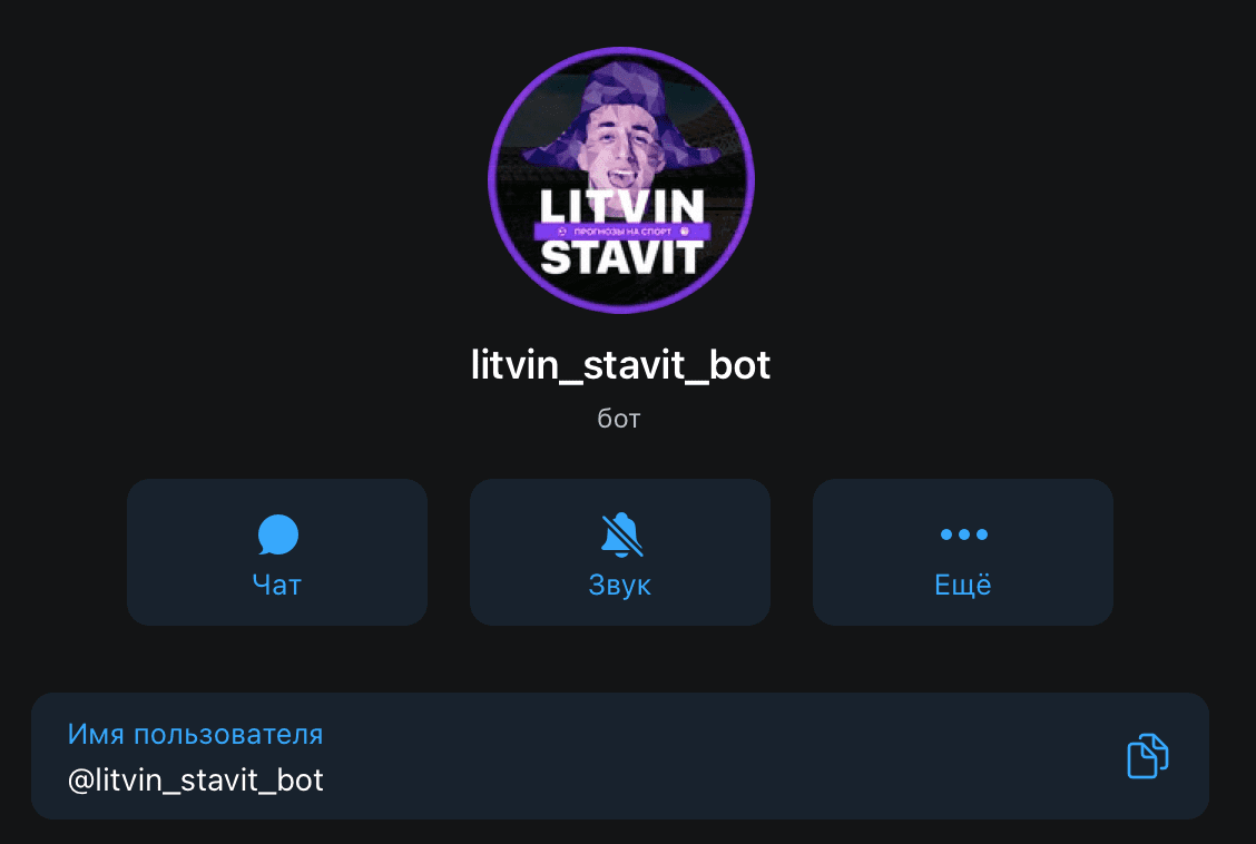 Телеграм бот Litvin Stavit(Литвин Ставит)