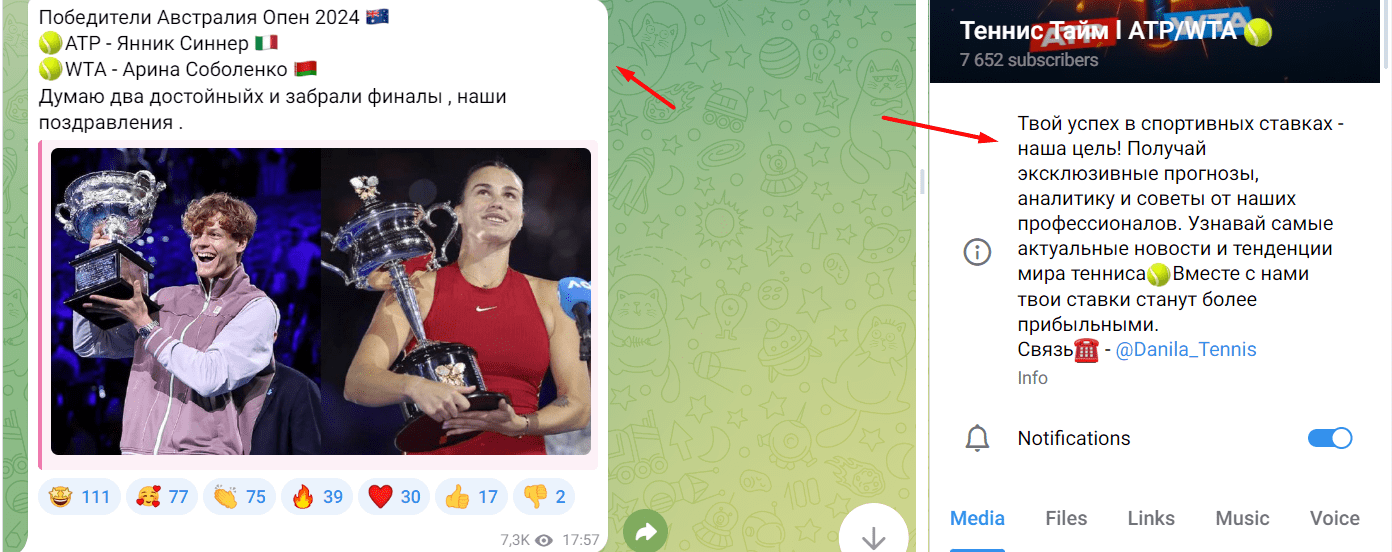 телеграм канал Теннис Тайм ATP/WTA