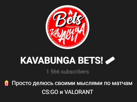 Телеграмм канал KAVABUNGA BETS