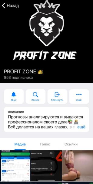 Телеграмм канал PROFIT ZONE