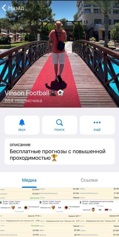 Телеграмм Vinson Football