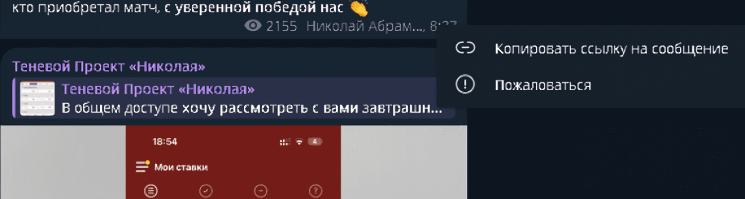 теневой проект николая телеграм