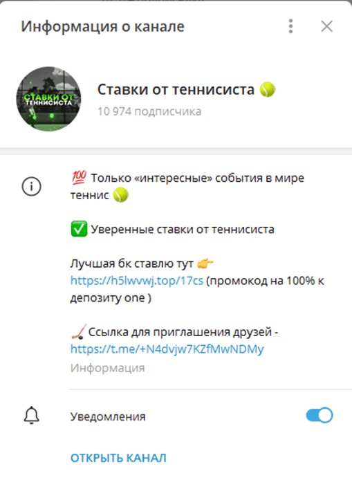 теннисист