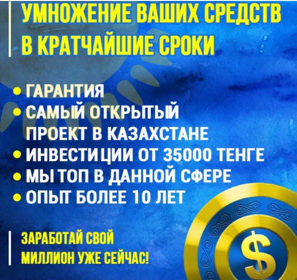 твой капитал статистика