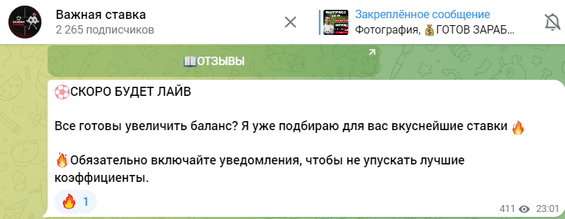 важная ставка тг канал отзывы