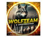 WOLFTEAM